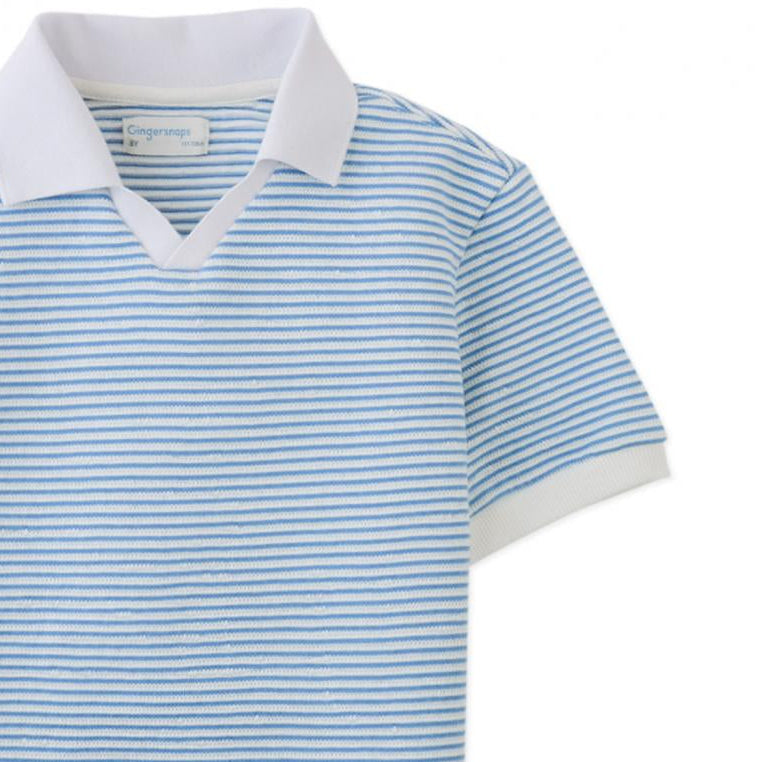 Boy's Blue Stripe Textured Polo Sweater