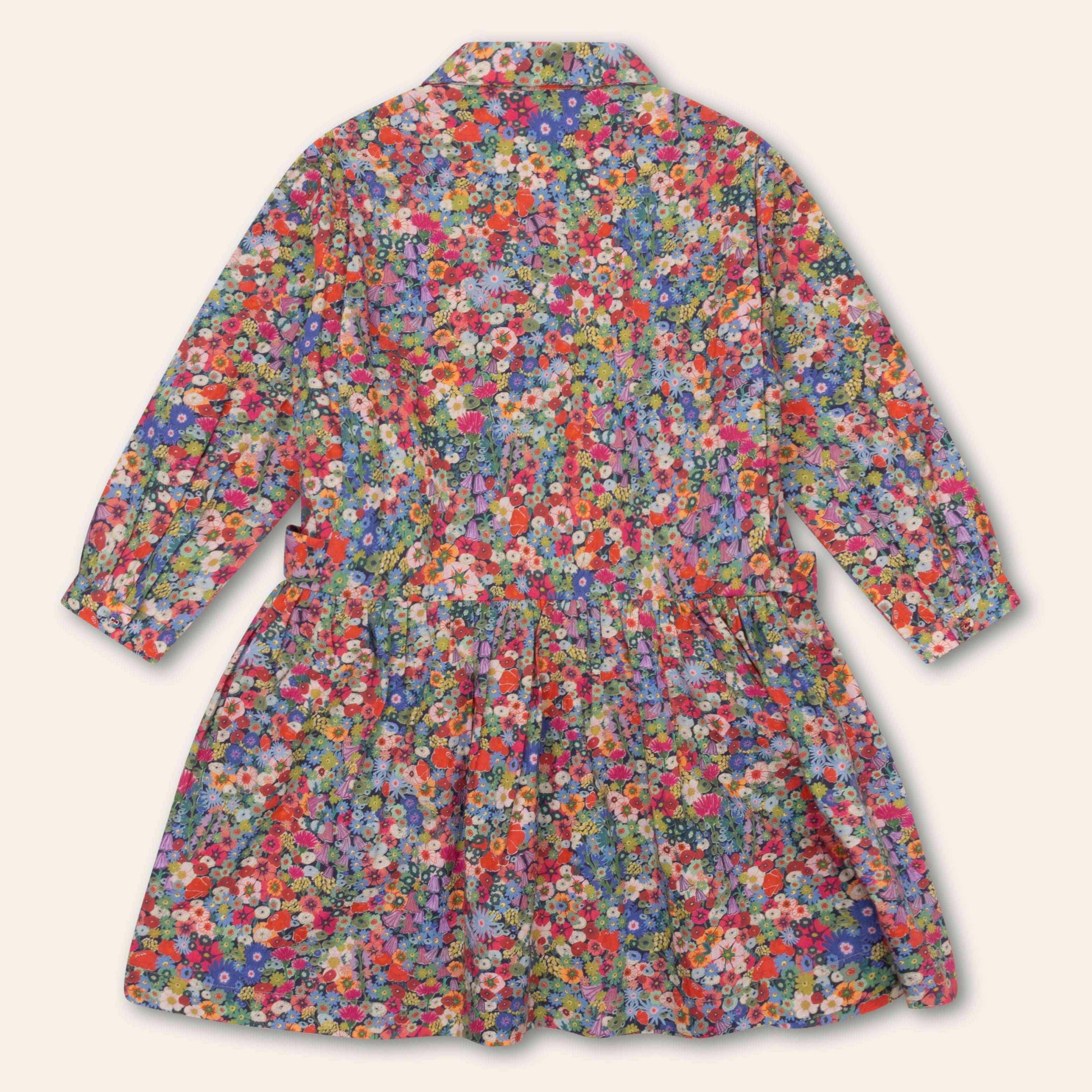 Girl's OIily Danniek Multi Scottish Floral Dress