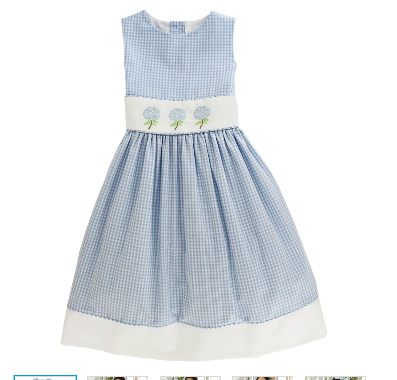 Blue Gingham Dress Hydranga