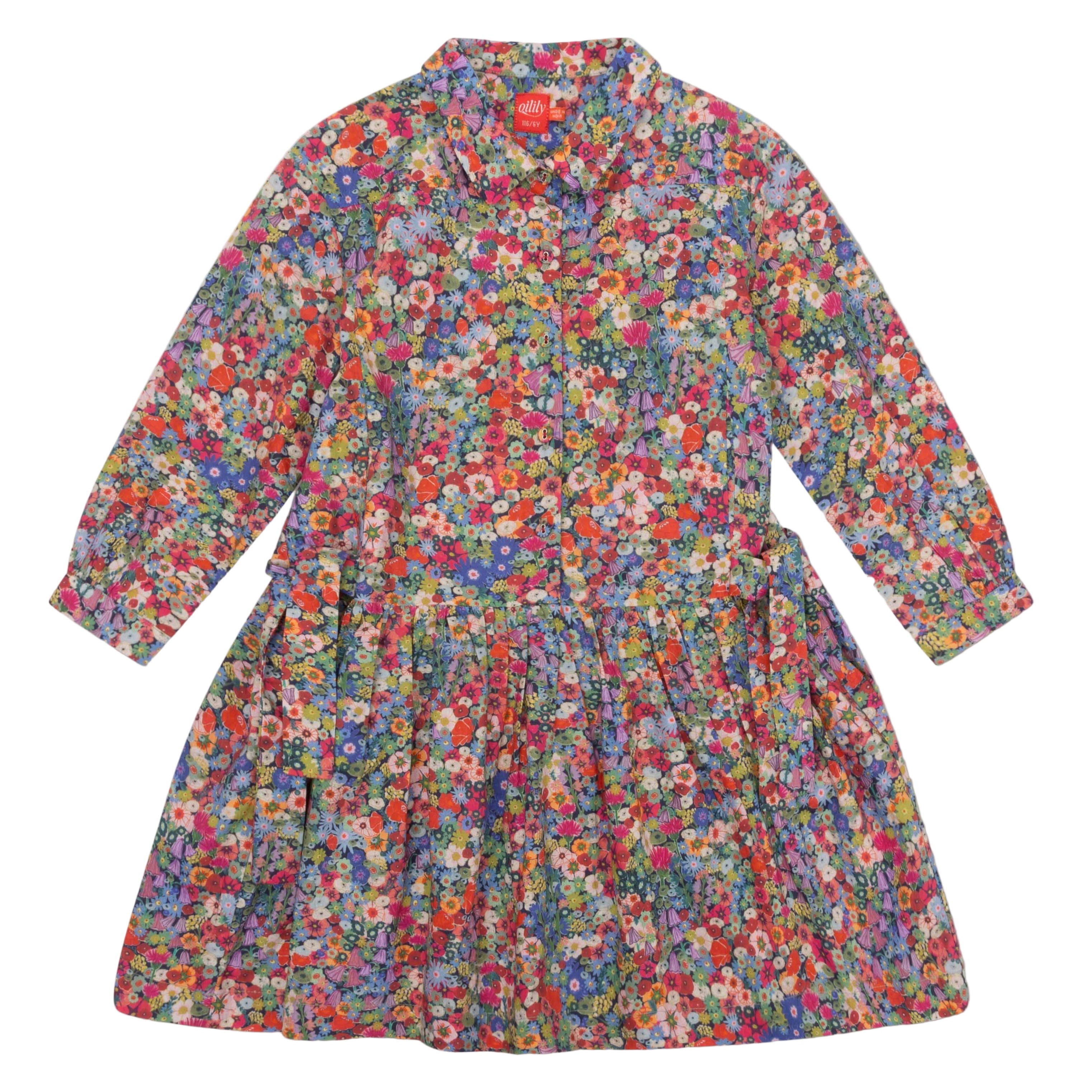 Girl's OIily Danniek Multi Scottish Floral Dress