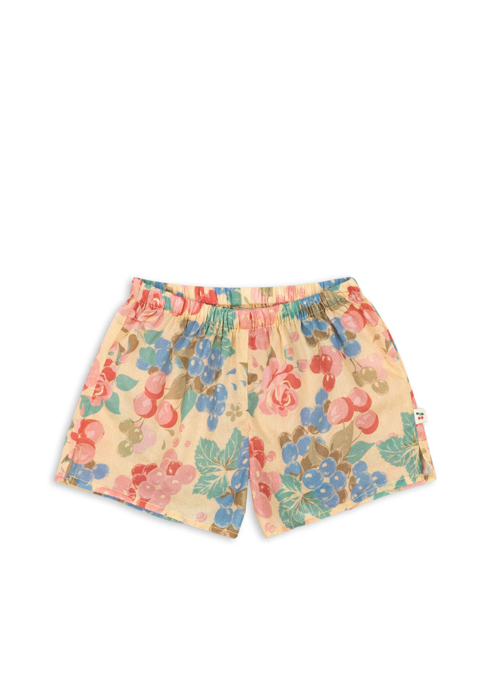 Beige Multi Rose and Fruit Shortset